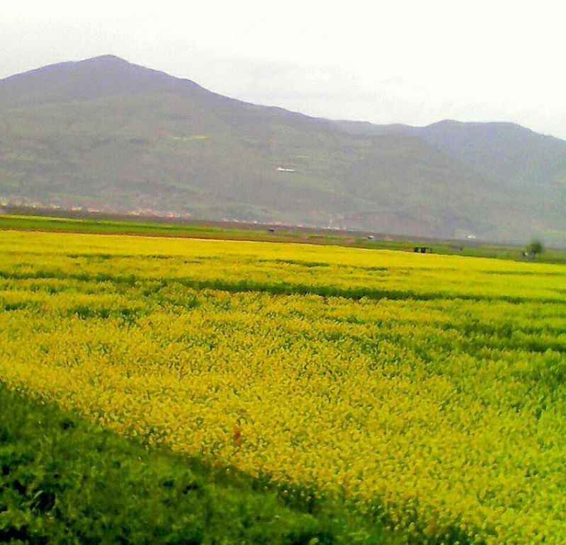 رستم آباد گیلان، رستم آباد، رستم آباد رودبار، گردشگری رستم آباد، جاذبه های رستم آباد، طبیعت گردی رستم آباد گیلان، مناطق دیدنی رستم آباد، جاهای دیدنی رستم آباد گیلان